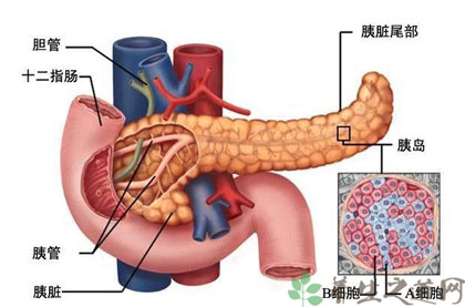 胰腺癌的诊断方法有哪些